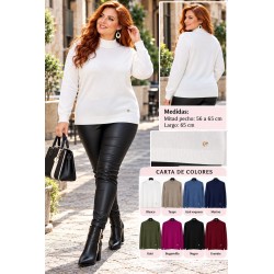 Jersey Cuello Perkins